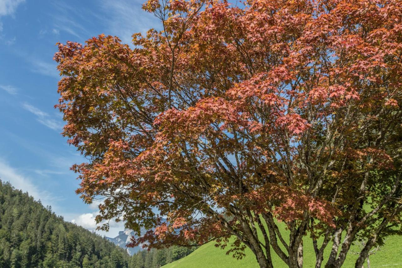 Ferienwohnung Weissbacher Sankt Martin bei Lofer Exteriér fotografie